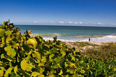 Wabasso Florida 'daki boş plajlar