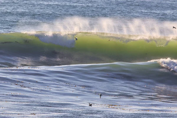 Surfing Overheadrev Ventura Kalifornien 2022 — Stockfoto