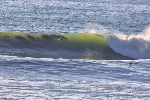 Surfing Overheads Zátony Ventura Kaliforniában 2022 — Stock Fotó