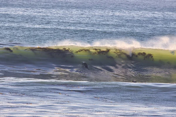 Surfing Overhead Reef Ventura California 2022 — стоковое фото