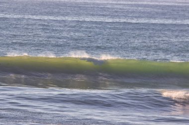 Ventura California 'daki Sörf Resifi 01-24-2022