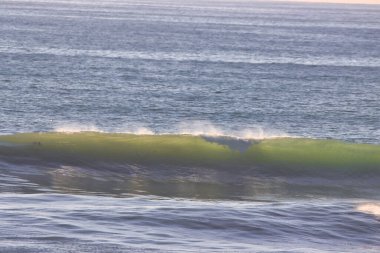 Ventura California 'daki Sörf Resifi 01-24-2022