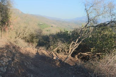 Gün batımında Carpinteria California 'da dağlarda yürüyüş.