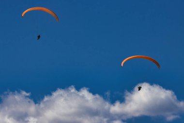 Kaliforniya 'daki Rincon uçurumlarında paragliding
