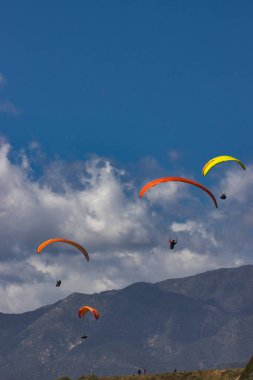 Kaliforniya 'daki Rincon uçurumlarında paragliding