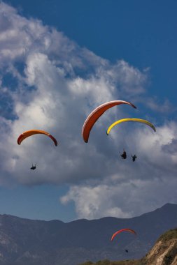 Kaliforniya 'daki Rincon uçurumlarında paragliding