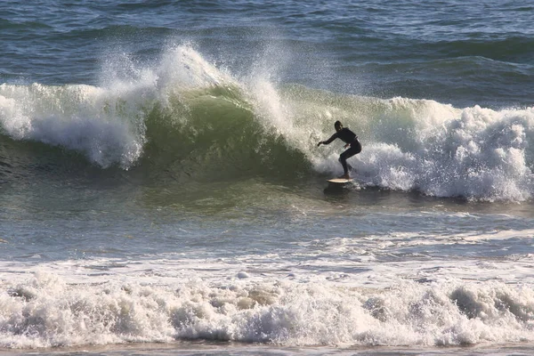 Surfing Rincon Cove California —  Fotos de Stock