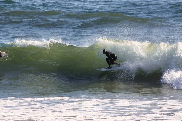 Surfing Rincon Cove California —  Fotos de Stock