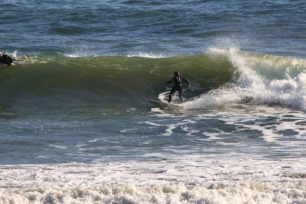 Surfing Rincon Cove California — Stock Photo, Image