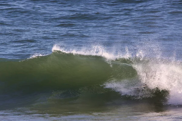 Surfing Rincon Cove California —  Fotos de Stock