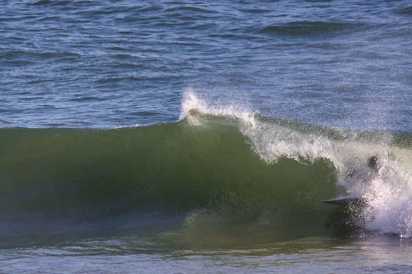 カリフォルニア州のサーフィン リンコン コーブ — ストック写真