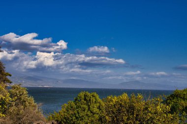 Windy Spring day on the SantaBarbara Mesa