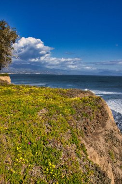 Windy Spring day on the SantaBarbara Mesa
