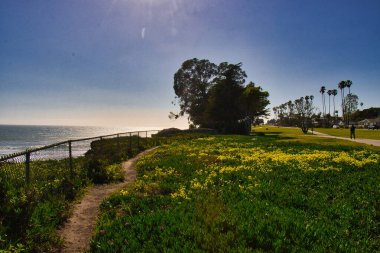 Santa Barbara Mesa 'da Rüzgarlı Bahar Günü