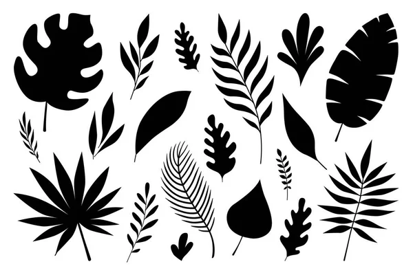 Set of black silhouettes of tropical leaves palms and trees isolated on a white background — 스톡 벡터