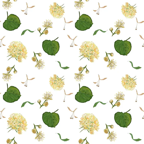 Seamless pattern linden flowers yellow — 스톡 사진