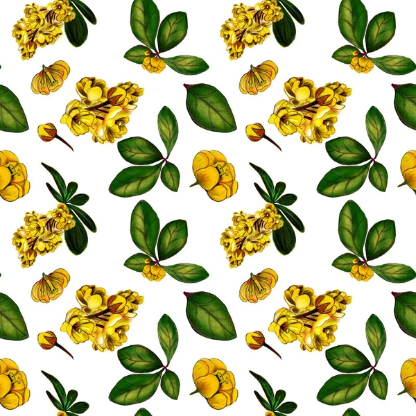 Seamless pattern barberry berries red — 스톡 사진