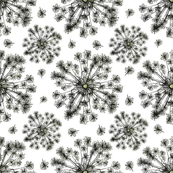 Seamless pattern fennel seed medicinal — Stock Photo, Image