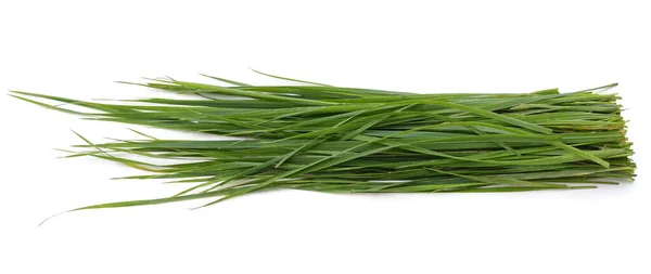 Bush Green Grass Isolated White Background — Stock Photo, Image