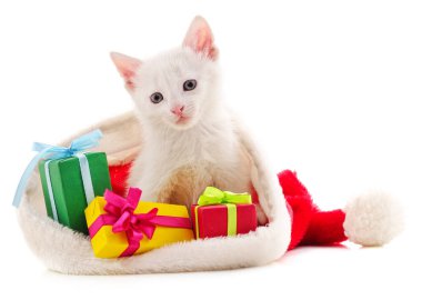 Beyaz arka planda izole edilmiş Noel hediyeli kedi yavrusu..