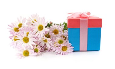 Beyaz arka planda izole edilmiş papatya çayı ile hediye.