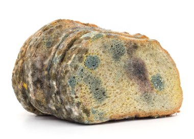 Küflenmiş ekmek parçası beyaz arkaplanda izole edilmiş..