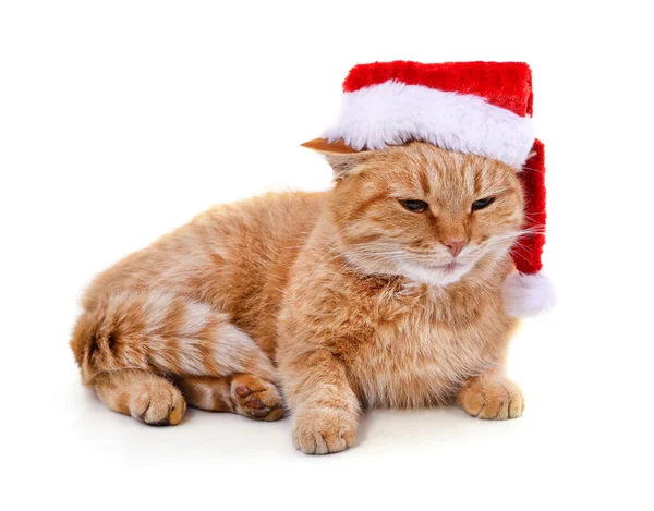 Kattunge Hatten Santa Isolerad Vit Bakgrund — Stockfoto