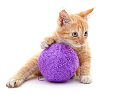 Kedi yavrusu ve menekşe topu beyaz arkaplanda izole.