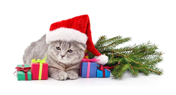 Kitten Santa Klobouk Vánoční Dárky Izolované Bílém Pozadí — Stock fotografie