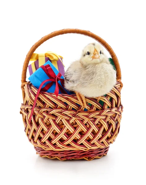 白地に隔離された贈り物とバスケット内の鶏 — ストック写真