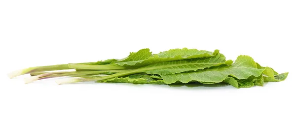 Green Horseradish Leaves Isolated White Background — 图库照片