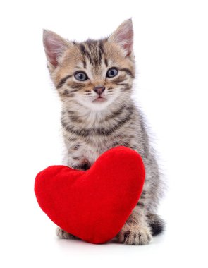 Kedi ve kırmızı kalp beyaz bir arkaplanda izole edilmiş..