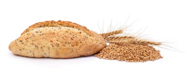 Ekmek buğdayları beyaz arkaplanda izole edilmiş..