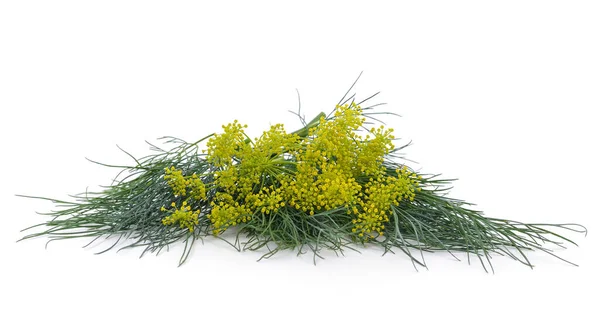 Dill Met Bloem Geïsoleerd Een Witte Achtergrond — Stockfoto