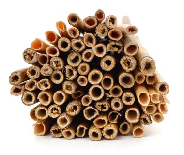 Beyaz bir zemin üzerinde izole edilmiş kuru sazlıklar yığını.