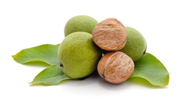 Beyaz arka planda yeşil yapraklı fındık.