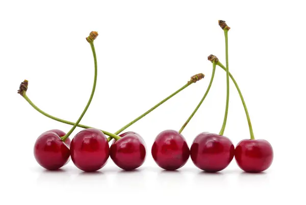 Row Ripe Cherries Isolated White Background —  Fotos de Stock