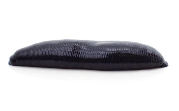 One Big Black Leech Isolated White Background — Stock Photo, Image