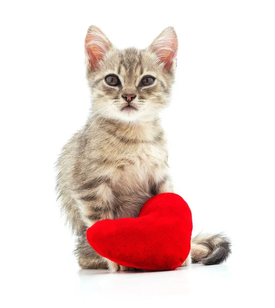 Кошеня Іграшковим Серцем Ізольовано Білому Тлі — стокове фото