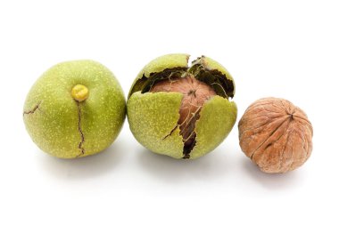 Kabuklu yeşil fındıklar beyaz arkaplanda izole edilmiş.