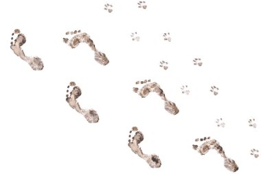 Human and dog footprints collage isolated on white background.