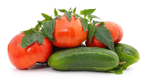 Pepinos Tomates Isolados Sobre Fundo Branco — Fotografia de Stock