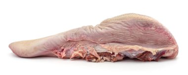 One veal tongue isolated on a white background.