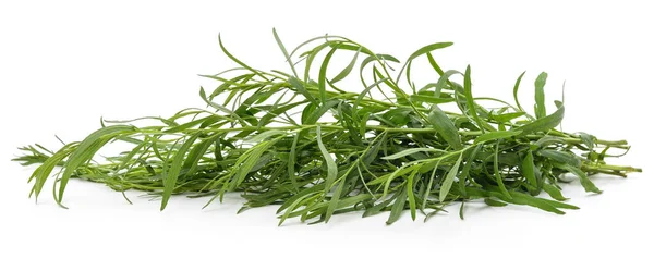Bunch Tarragon Leaves Isolated White Background — Stock Photo, Image