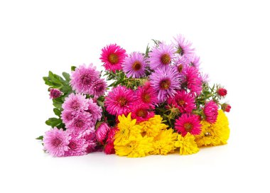 Beyaz arka planda izole edilmiş renkli kasımpatı buketi..