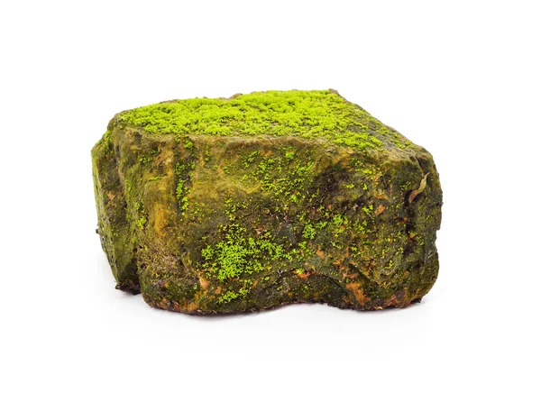 Green Moss Brick Isolated White Background — Stock Photo, Image