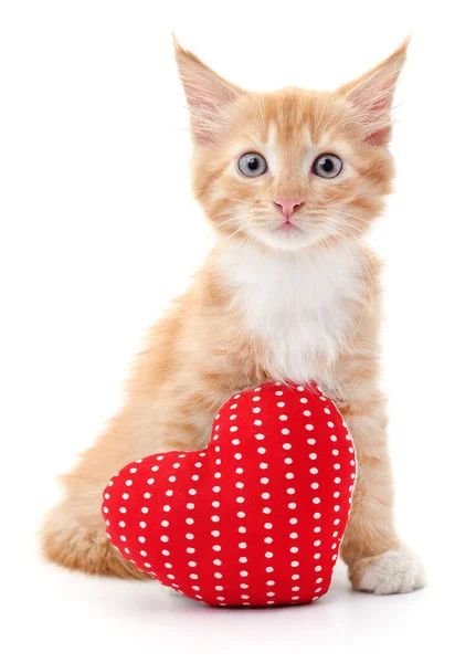 Gato Corazón Rojo Aislados Sobre Fondo Blanco —  Fotos de Stock