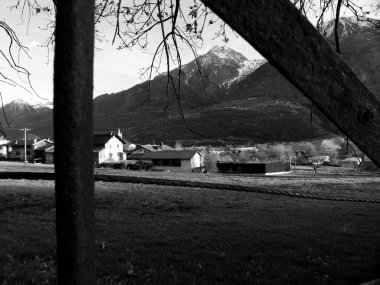 Önplanda doğa çerçevesi olan siyah ve beyaz dağ manzarası