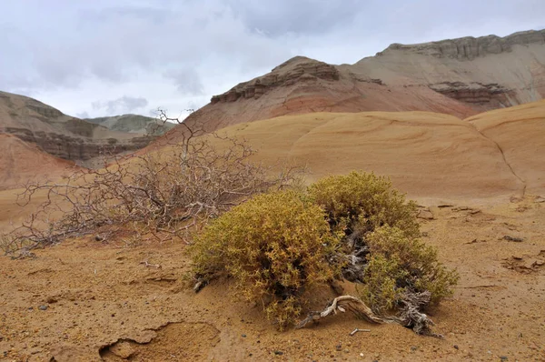 Kazakistan Orta Asya 'da bir devlettir. Ülkenin manzaraları batıdan doğuya Hazar Denizi 'nden Altai Dağları' na ve kuzeyden güneye Batı Sibirya ovalarından Orta Asya 'nın vahaları ve çöllerine kadar uzanır. 10 tane var.