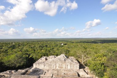 Calakmul, Meksika 'nın Campeche eyaletinde bir Maya arkeolojik alanı..